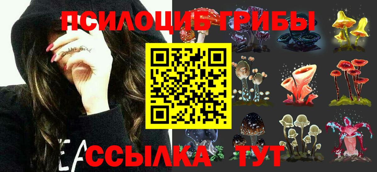 наркота  Вход с VPN  Полысаево  Псилоцибиновые грибы Magic Shrooms 